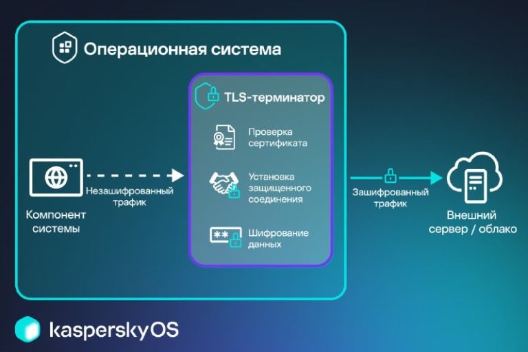 TLS-терминатор